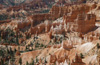 Bryce Canyon